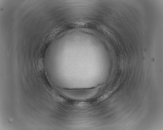 X0000072490467200608041420