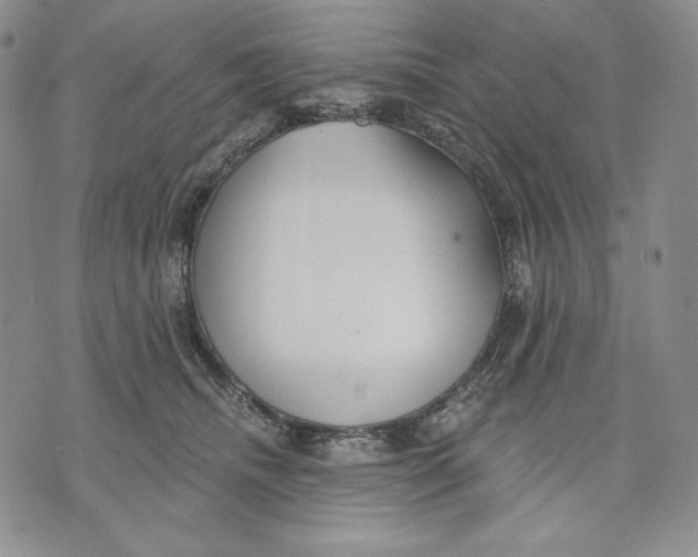 X0000072490468200608041420