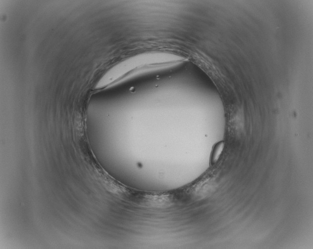 X0000072490469200608041420