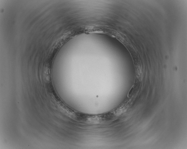 X0000072490470200608041420