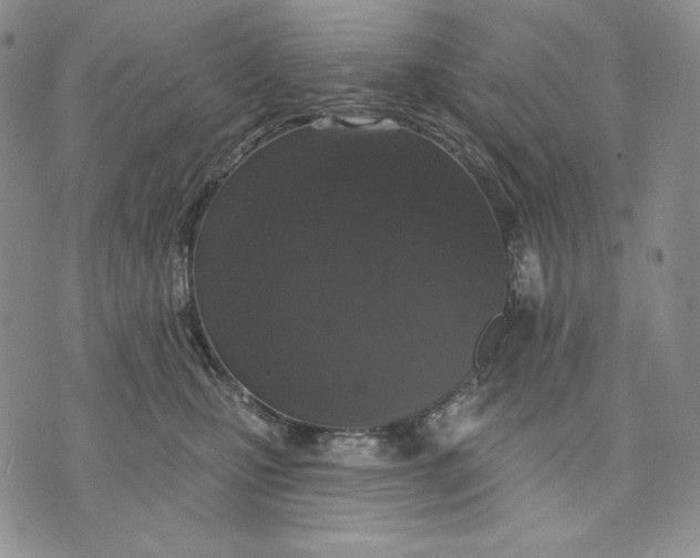 X0000072490471200608041420