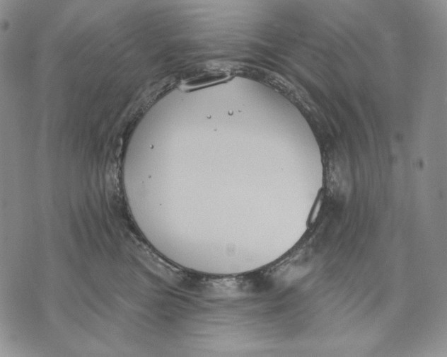 X0000072490473200608041420