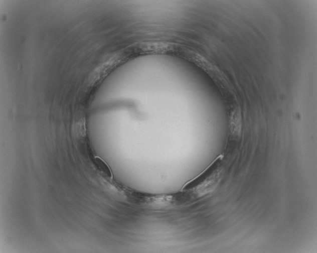 X0000072490474200608041420