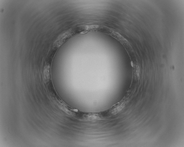 X0000072490475200608041420