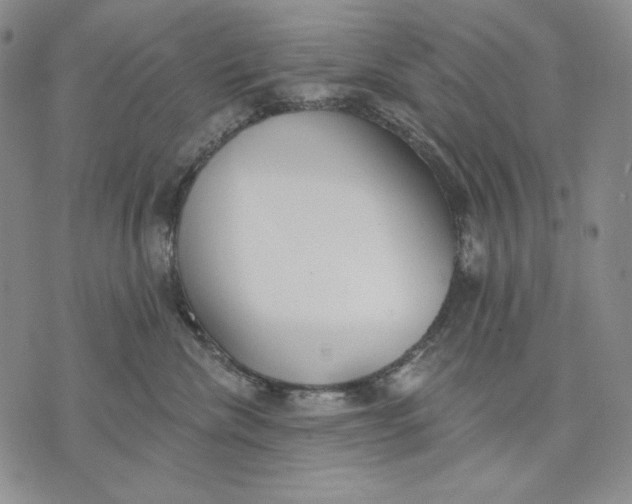 X0000072490476200608041420