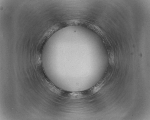 X0000072490477200608041420