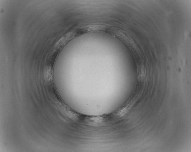 X0000072490478200608041420