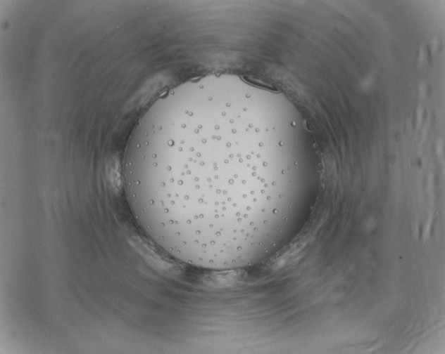 X0000072490479200608041420