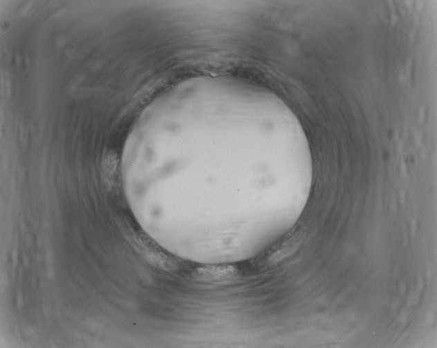 X0000072490480200608041421