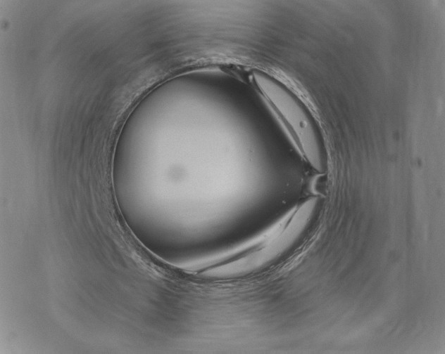 X0000072490481200608041420