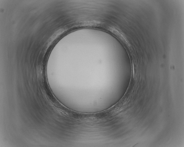 X0000072490483200608041420