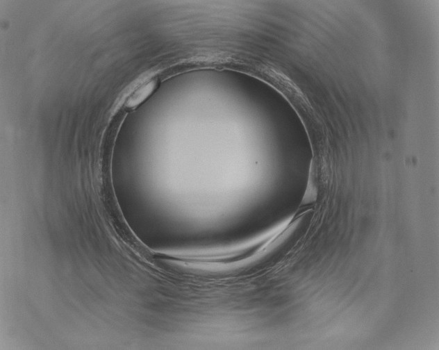 X0000072490484200608041420