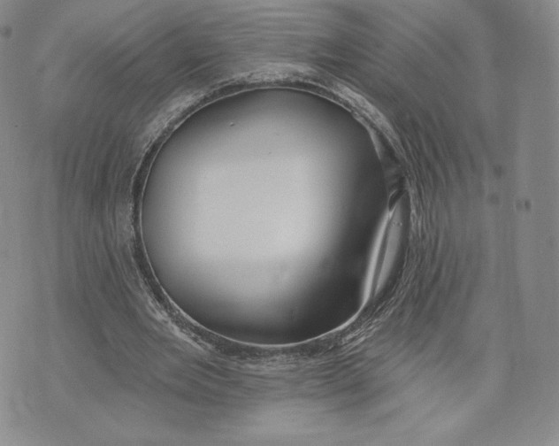 X0000072490485200608041420