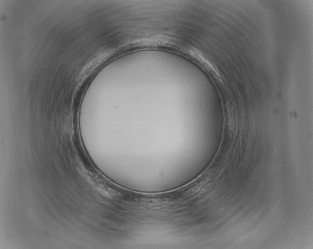 X0000072490486200608041420