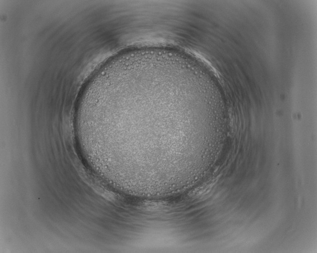 X0000072490487200608041420