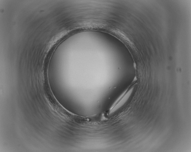 X0000072490488200608041420