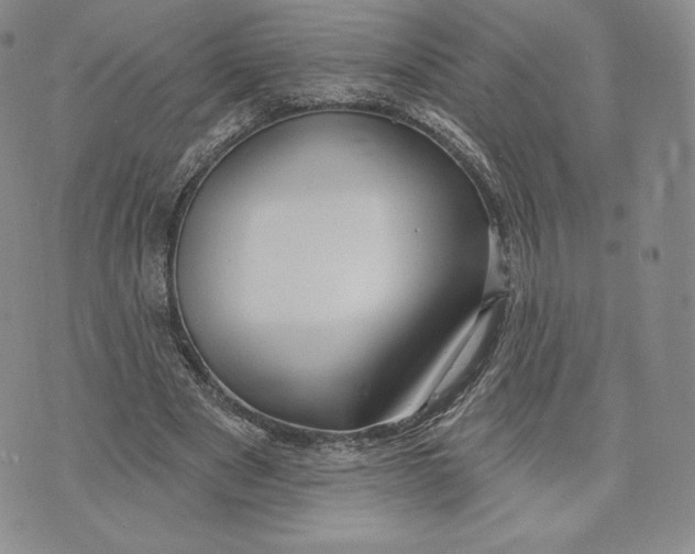 X0000072490489200608041420