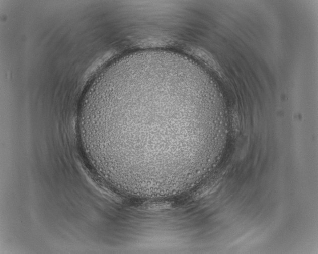 X0000072490491200608041420