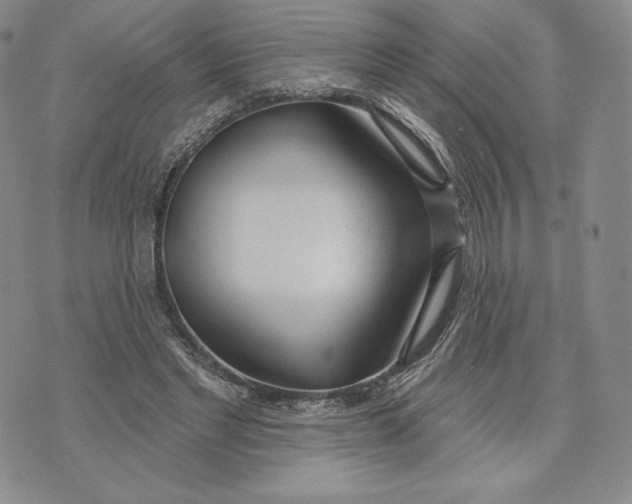 X0000072490493200608041420