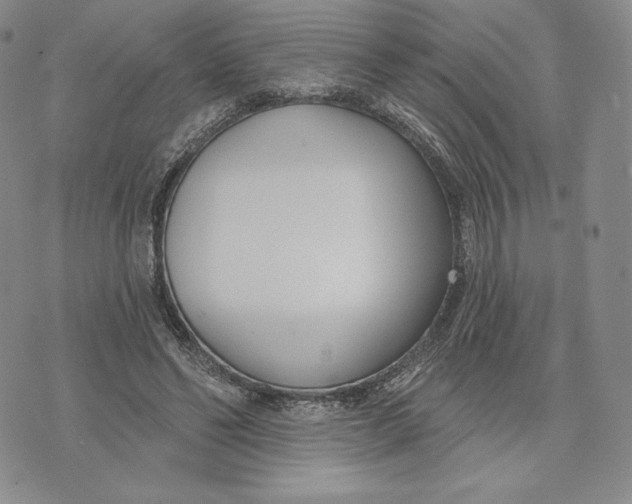 X0000072490494200608041420