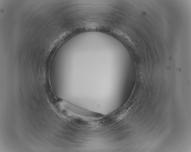 X0000072490496200608041419