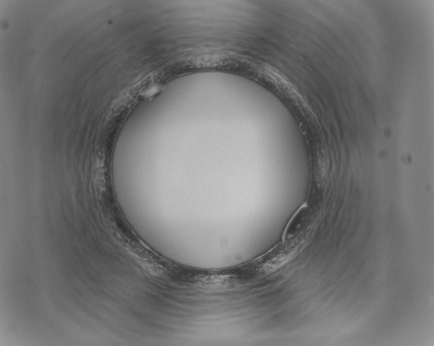 X0000072490497200608041419