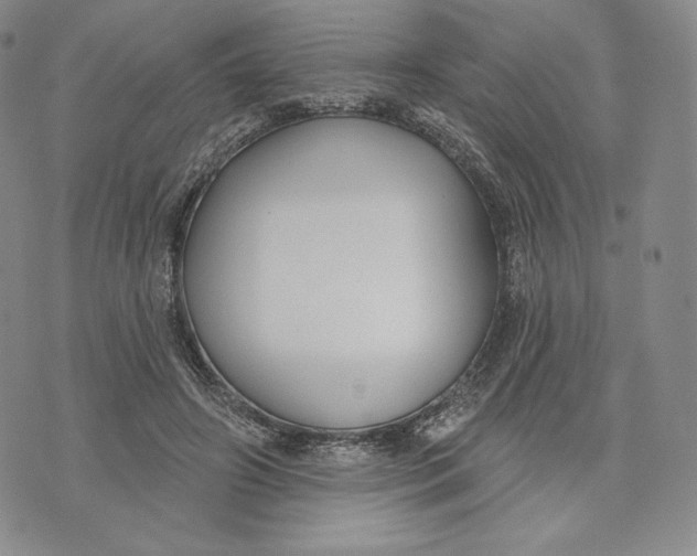 X0000072490498200608041419