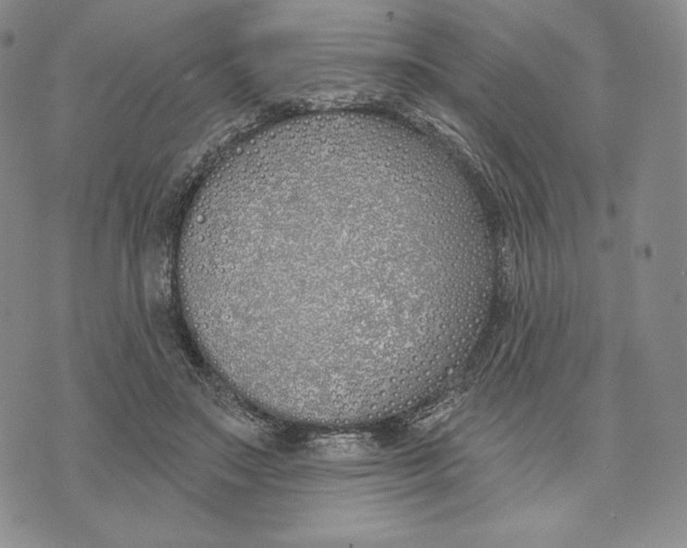 X0000072490499200608041419