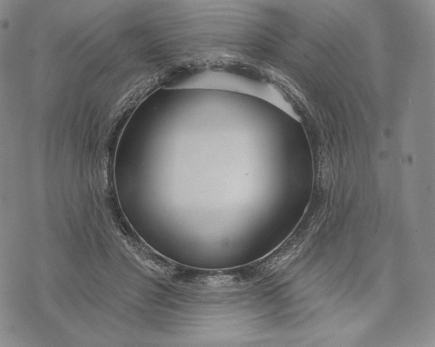 X0000072490501200608041419