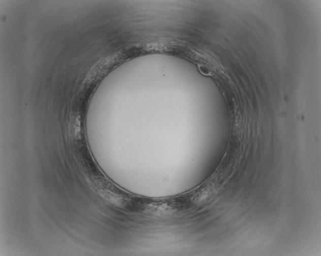 X0000072490502200608041419