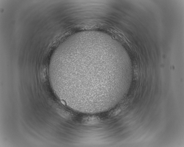 X0000072490503200608041419