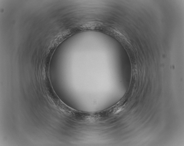 X0000072490504200608041419