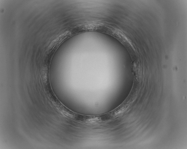 X0000072490505200608041419