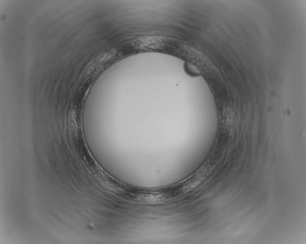 X0000072490506200608041419