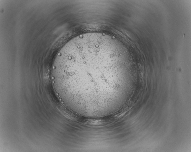 X0000072490507200608041419