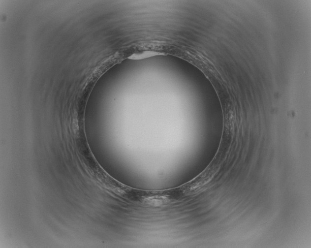 X0000072490508200608041419