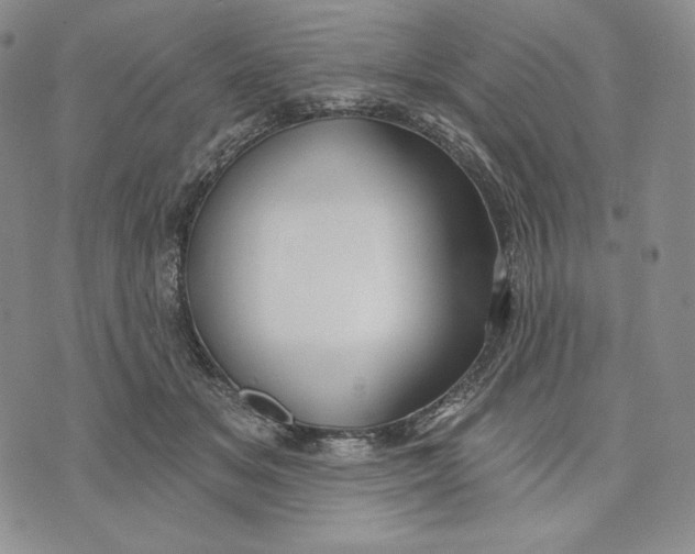 X0000072490509200608041419