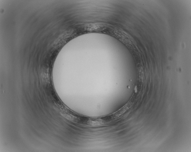 X0000072490510200608041419