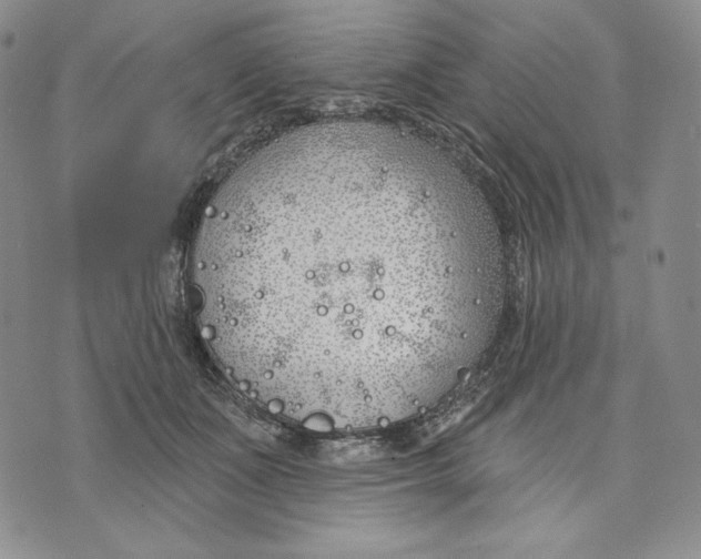 X0000072490511200608041419