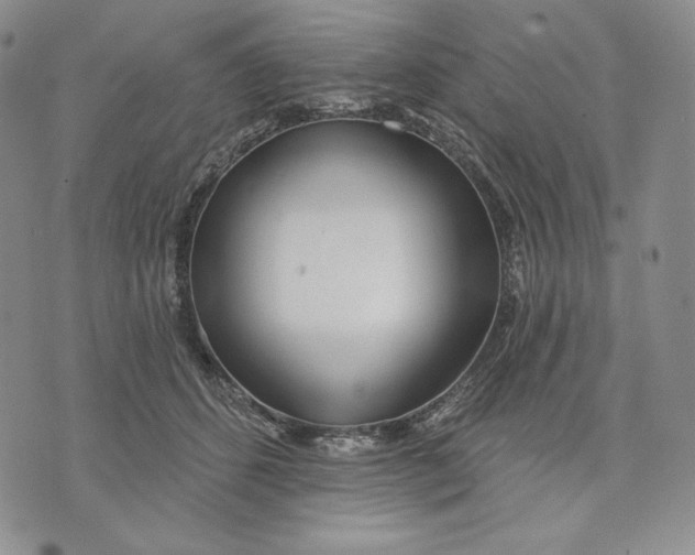 X0000072490512200608041419