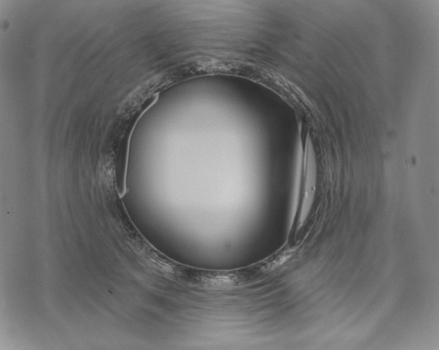 X0000072490513200608041419