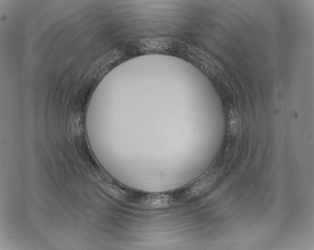 X0000072490514200608041419