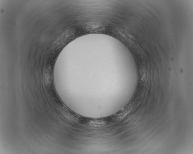 X0000072490515200608041419