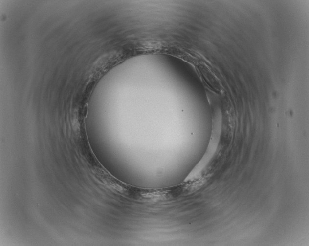 X0000072490516200608041419