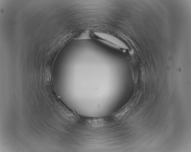 X0000072490517200608041419