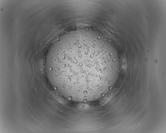 X0000072490519200608041419