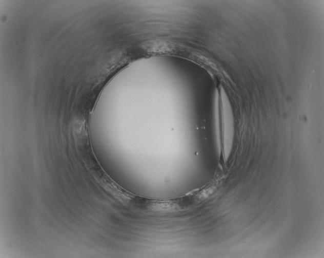 X0000072490521200608041419