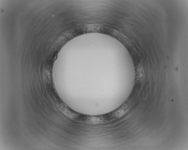 X0000072490522200608041419