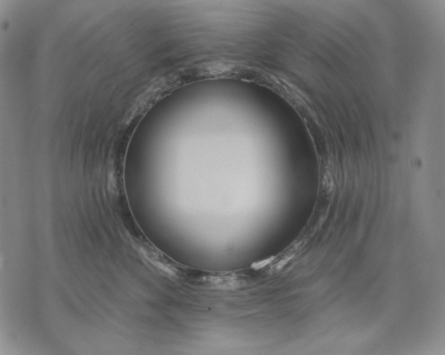 X0000072490524200608041419