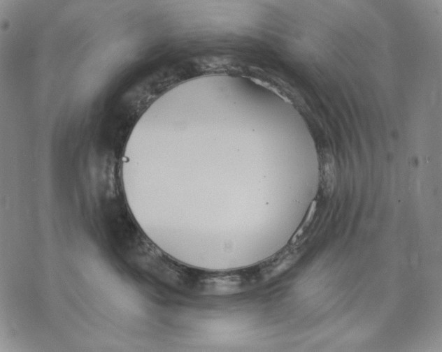 X0000072490525200608041419